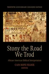 Book cover of Stony the Road We Trod by Cain Hope Felder