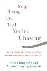 Book cover of Stop Biting the Tail You're Chasing by Anyen Rinpoche