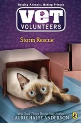 Book cover of Storm Rescue by Laurie Halse Anderson