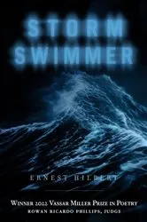 Book cover of Storm Swimmer by Ernest Hilbert