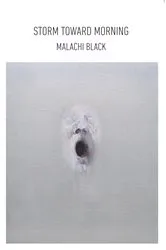 Book cover of Storm Toward Morning by Malachi Black