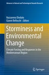 Book cover of Storminess and Environmental Change by Nazzareno Diodato