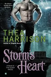 Book cover of Storm's Heart by Thea Harrison