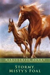 Book cover of Stormy, Misty's Foal by Marguerite Henry