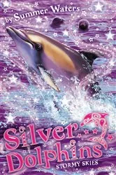 Book cover of Stormy Skies by Summer Waters
