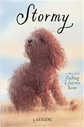 Book cover of Stormy by Guojing
