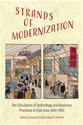 Book cover of Strands of Modernization by David B. Sicilia