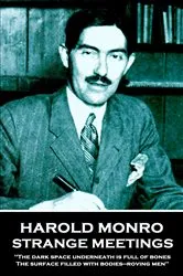 Book cover of Strange Meetings by Harold Munro