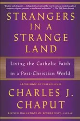 Book cover of Strangers in a Strange Land by Paul Manning
