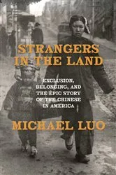 Book cover of Strangers in the Land by Michael Luo