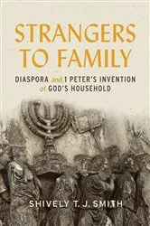 Book cover of Strangers to Family by Shively T. J. Smith