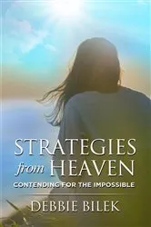 Book cover of Strategies from Heaven by Debbie Bilek
