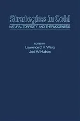 Book cover of Strategies in Cold by Lawrence C.H. Wang