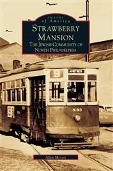 Book cover of Strawberry Mansion by Allen Meyers