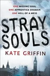 Book cover of Stray Souls by Kate Griffin