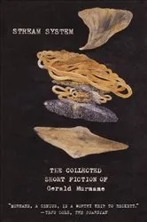 Book cover of Stream System by Unknown