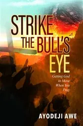 Book cover of Strike the Bull's Eye by Unknown