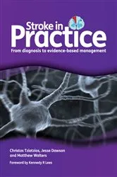 Book cover of Stroke in Practice by Christos Tziotzios
