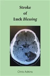 Book cover of Stroke of Blessing by Unknown