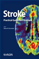 Book cover of Stroke by Bill Gasiamis