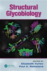Book cover of Structural Glycobiology by Elizabeth Yuriev