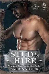 Book cover of STUD FOR HIRE? by Debbi Rawlins