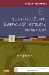 Book cover of Student Workbook for Illustrated Dental Embryology, Histology and Anatomy - E-Book (4th ed.) by Fehrenbach RDH, MS, Margaret J.