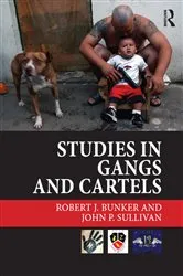 Book cover of Studies in Gangs and Cartels by Robert J. Bunker