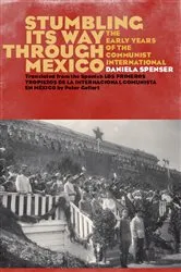 Book cover of Stumbling Its Way through Mexico by Daniela Spenser