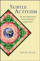 Book cover of Subtle Activism by David Nicol