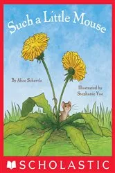 Book cover of Such a Little Mouse by Alice Schertle