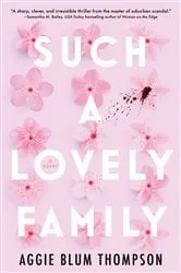 Book cover of Such a Lovely Family by Aggie Blum Thompson