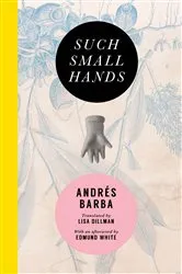 Book cover of Such Small Hands by Andrés Barba
