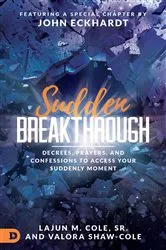 Book cover of Sudden Breakthrough by LaJun M. Cole