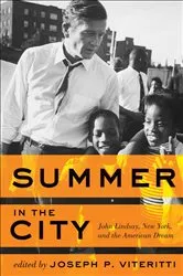 Book cover of Summer in the City by Robyn Sisman