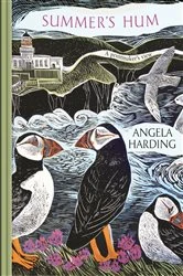 Book cover of Summer's Hum by Angela Harding