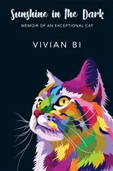 Book cover of Sunshine in the Dark by Vivian Bi
