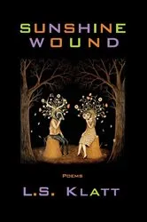 Book cover of Sunshine Wound by L. S. Klatt