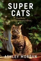 Book cover of Super Cats by Ashley Morgan