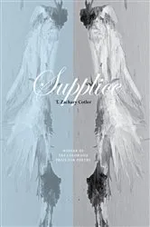 Book cover of Supplice by T. Zachary Cotler