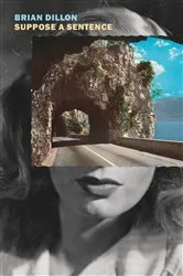 Book cover of Suppose a Sentence by Brian Dillon
