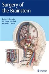 Book cover of Surgery of the Brainstem by Robert F. Spetzler