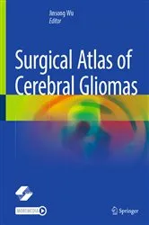 Book cover of Surgical Atlas of Cerebral Gliomas by Jinsong Wu