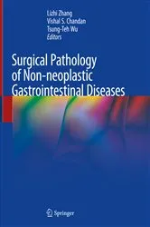Book cover of Surgical Pathology of Non-neoplastic Gastrointestinal Diseases by Lizhi Zhang