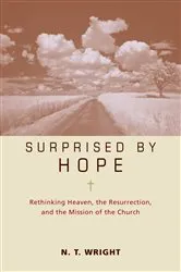 Book cover of Surprised by Hope Bible Study Participant's Guide by N. T. Wright