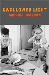 Book cover of Swallowed Light by Michael Wasson