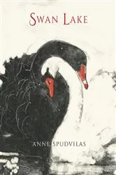 Book cover of Swan Lake by Anne Spudvilas