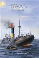 Book cover of Swan Sinks by Eric Wiberg