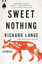 Book cover of Sweet Nothing by Nicole Mowbray