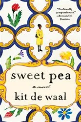 Book cover of Sweet Pea by Kit de Waal